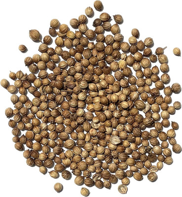 CYBEXIS XLL-86 - Certified Organic Cilantro - (250 Seeds) Seed(250 per packet)