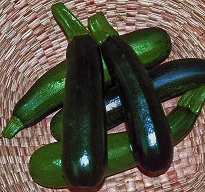 CYBEXIS Zucchini BLACK BEAUTY removes harmful substances, heirloom 400 Seeds Seed(400 per packet)