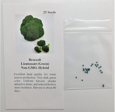 VibeX ® RXI-429 Broccoli Lieutenant (Green) Seed(200 per packet)
