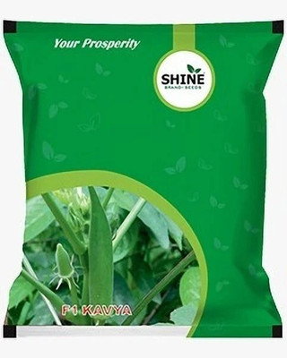 SHINE BRAND SEEDS Okra - Kavya F1 | Bhindi Seeds | Seed(50 g)