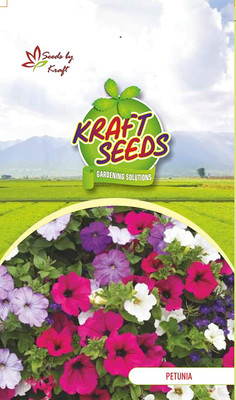 CYBEXIS Petunia F1 Hybrid Flower Mix GMO-Free Seeds Seed(50 per packet)