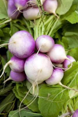 Quentova White Purple Top Turnip/Shalgam-VII-8I Seed(200 per packet)
