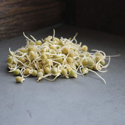 VibeX NDIR-34 - Dried Green Pea Sprouting - (100 Seeds) Seed(100 per packet)