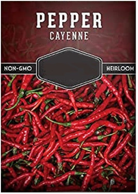 CYBEXIS Chilli600 Seeds Seed(600 per packet)