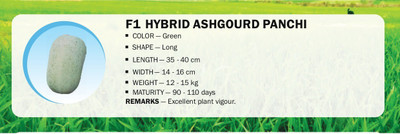 VibeX F1 HYBRID ASHGOURD PANCHI(250 Seeds) Seed(250 per packet)