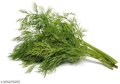Mozette Organic soya dill Seed(25 per packet)