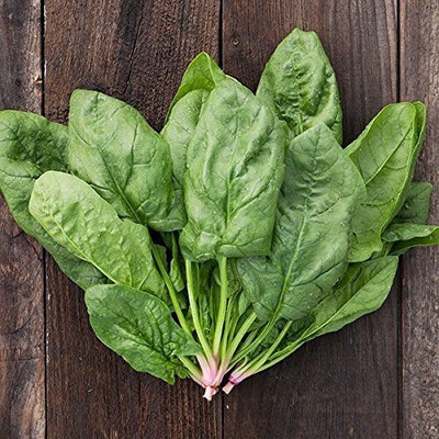 Qualtivate ™ Spinach Vegetable Seeds-150 Seed Seed(150 per packet)