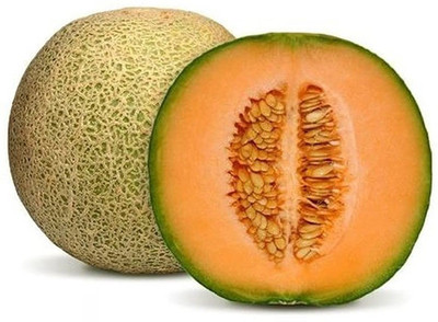 VibeX LXI-73 - Open Pollinated Musk Melon - (1350 Seeds) Seed(1350 per packet)