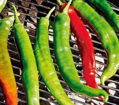 KNESSiN Hybrid Italian Roaster Pepper Seeds For Gardening-(1200 Seeds) Seed(1200 per packet)
