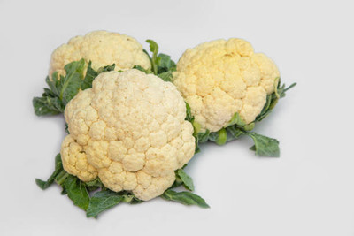 Leitner Group white cauliflower,gobhee seeds Seed(40 per packet)