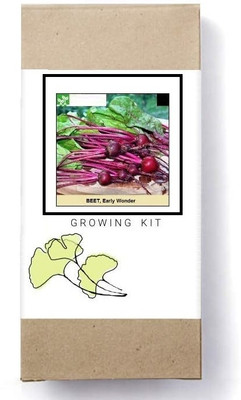 Biosnyg Early Wonder Beetroot[500 Seeds] Seed(500 per packet)