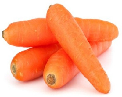 ZIFR Carrot - Orange Vegetable Seed(300 per packet)