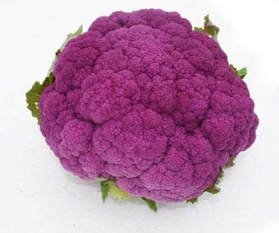 CYBEXIS Purple Broccoli Cauliflower Seeds Non-GMO500 Seeds Seed(500 per packet)