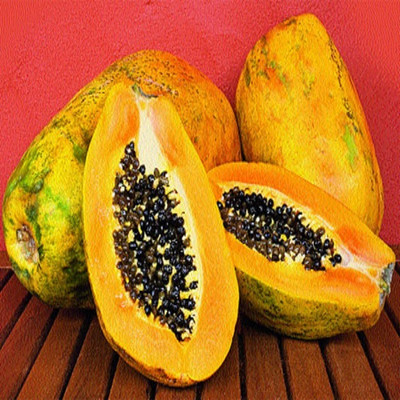 Corofitam Papaya Seeds Dwarf Variety Seed(20 per packet)