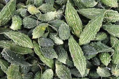 Oliver F1 BEST QUALITY BITTER GOURD SEEDS Seed(17 per packet)