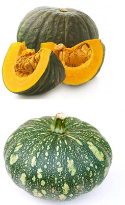 VibeX ® RXI-84 Desi Pumpkin Kaddu Seeds Seed(50 per packet)