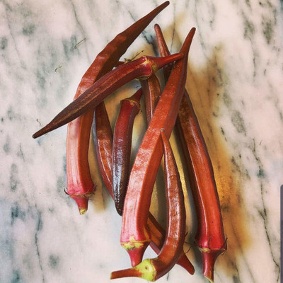 KANAYA Red Okra Seed(550 per packet)