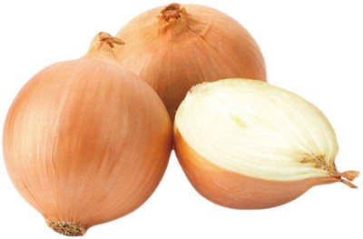 WATIKA Sweet Yellow Onion Seed(500 per packet)