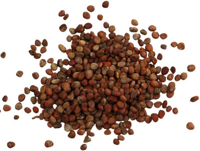 CYBEXIS Heirloom Round Red Redish Seeds600 Seeds Seed(600 per packet)