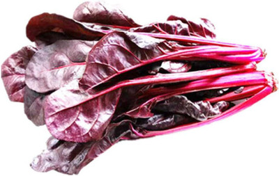 KNESSiN QLI-78 Red Spinach Seed(200 per packet)