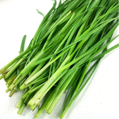 CYBEXIS Hybrid Chive Leek Seeds Rich Smell Vegetables700 Seeds Seed(700 per packet)