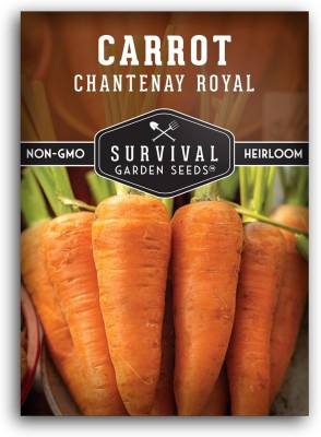 Qualtivate HYB-1A Chantenay Royal Carrot Seed Seed(300 per packet)