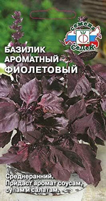 KNESSiN Russian Basil Purple[400 Seeds] Seed(400 per packet)