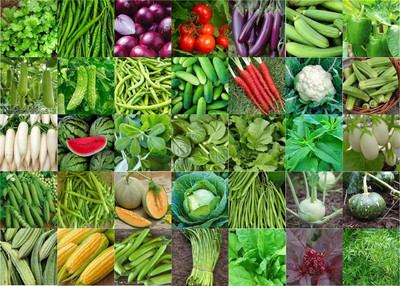 CRGO combo of 35 variety vegetable seeds with instruction manual. Seed(3200 per packet)