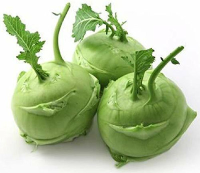 KANAYA Knol Khol Seed(60 per packet)