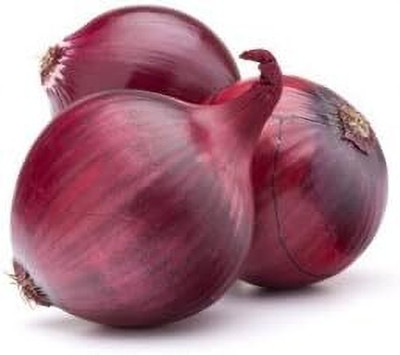 KNESSiN Heirloom Ruby Red Onion Seeds For Kitchen Gardening-(1200 Seeds) Seed(1200 per packet)