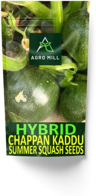 AGRO MILL HYBRID F1 PREMIUM QUALITY CHAPPAN KADDU/SUMMER SQUASH FOR HOME KITCHEN GARDEN Seed(20 per packet)