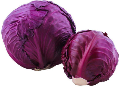 TRICONE Cabbage Seed(500 per packet)