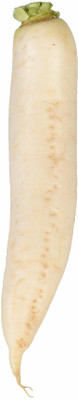 VINTI Radish White Daikon Seed(2500 per packet)
