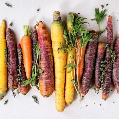 Qualtivate PUA-1A Carrot Mix of 6 Colorful Varieties Seed(300 per packet)