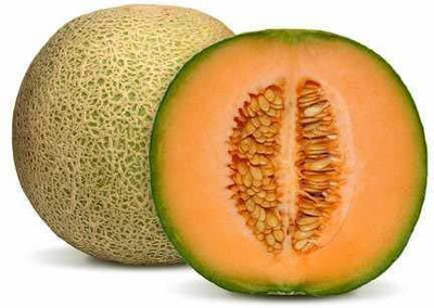 VibeX NBIR-59 - Yellow Shamam - Musk Melon - (150 Seeds) Seed(150 per packet)