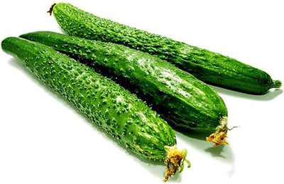CYBEXIS Green Sweet Cucumber Seeds1000 Seeds Seed(1000 per packet)