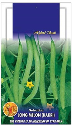 Qualtivate HUA-4A Long Melon/Kakri Seeds Seed(200 per packet)
