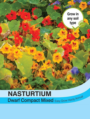 CYBEXIS Flowers - Nasturtium Dwarf Compact Mixed Seed(50 per packet)