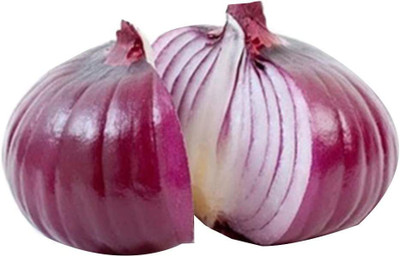CYBEXIS Organic Purple Onion Seeds2000 Seeds Seed(2000 per packet)