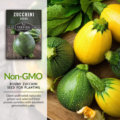 Qualtivate XXX-3A Round Zucchini Seed for Planting Seed(30 per packet)