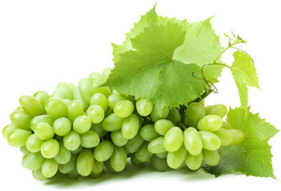 PASCLE GRAPE SEEDS Seed(50 per packet)