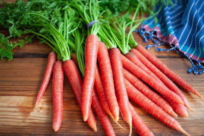 RUDAN Carrot Red Long Seed(2000 per packet)