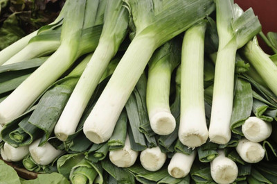 CEZIUS Leek Carentan Seed(1000 per packet)