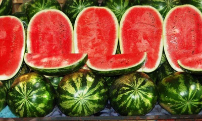 Qualtivate HYB-3A Giant Astrakhan Watermelon Seed(100 per packet)