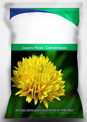 Qualtivate XLL-328 Jamanthi Poovu - Chrysanthemum Flower Seeds Seed(25 per packet)