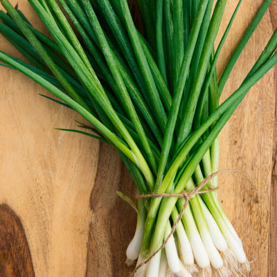 XOLDA Organic Bunching Onion Seed(86 per packet)