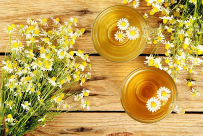 VibeX LX-13 - Chamomile German - (2250 Seeds) Seed(2250 per packet)