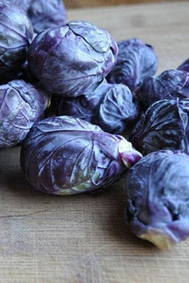 WILLVINE PUSA -XVI Redarling Brussels Sprouts Purple [1g] Seed(300 per packet)