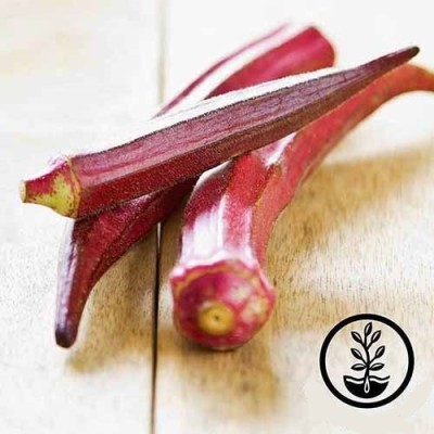 Qualtivate HUA-4A Red Bhindi Hybrid Seed(350 per packet)