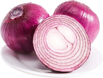 CYBEXIS Purple-red Onion Seeds （Allium cepa）500 Seeds Seed(500 per packet)